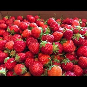 Meet your Posher, Melissa